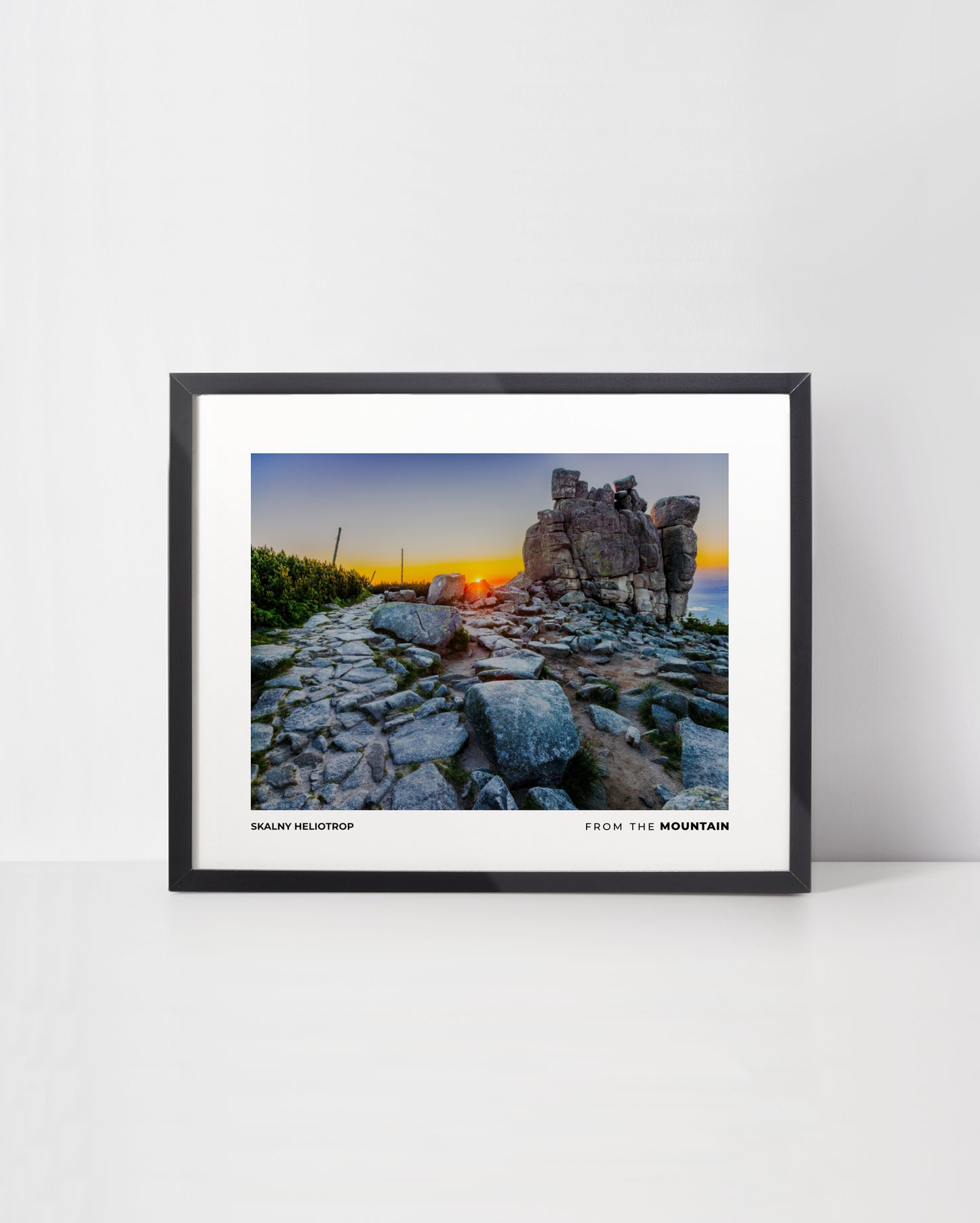 Plakat SŁONECZNIK - Skalny Heliotrop