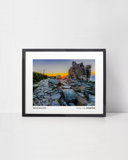 Plakat SŁONECZNIK - Skalny Heliotrop