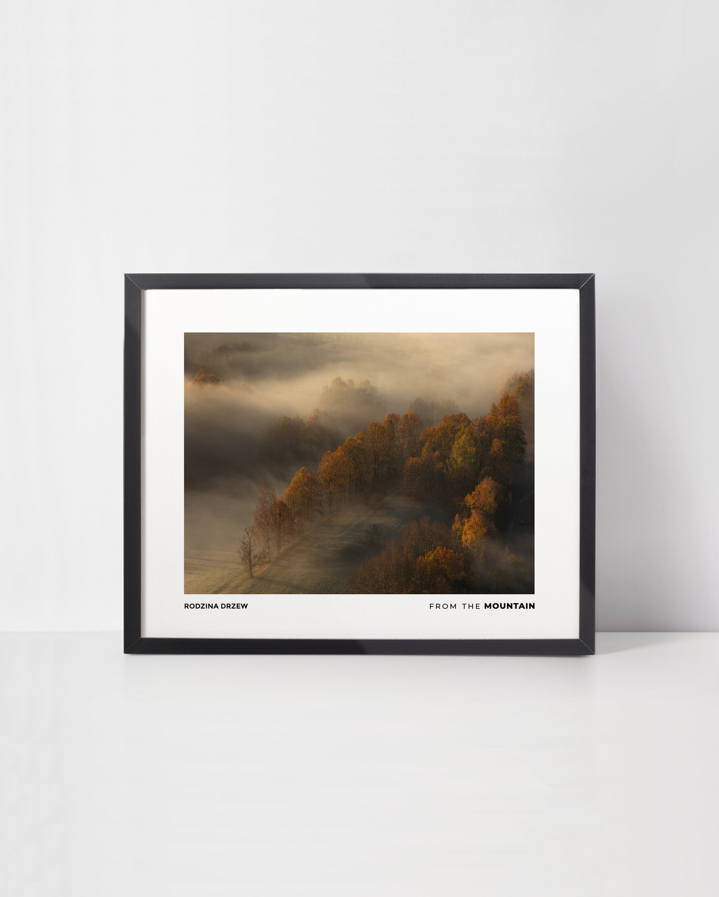 Plakat RUDAWY JANOWICKIE - Rodzina Drzew