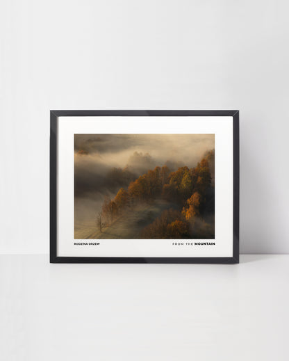 Plakat RUDAWY JANOWICKIE - Rodzina Drzew